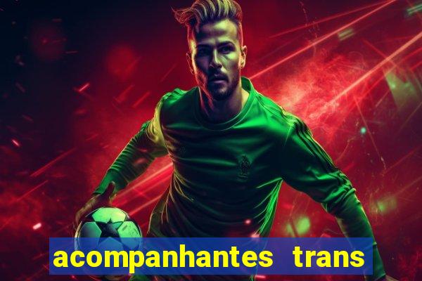 acompanhantes trans baixada fluminense